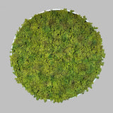 Artificial Reindeer moss wall circular art panel MDF White - 80cm