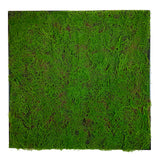Framed Artificial green sphagnum moss art panel 100x100 cm - www.greenplantwalls.co.uk