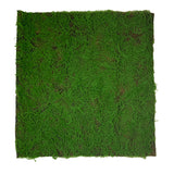 Artificial green sphagnum moss panel - www.greenplantwalls.co.uk